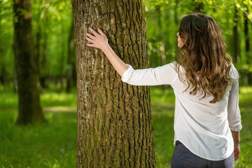 Rückansicht einer Frau, die einen Baumstamm im Wald berührt